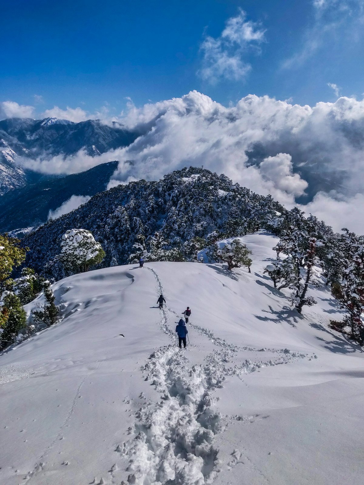 Jammu & Kashmir